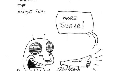 Morty #4355